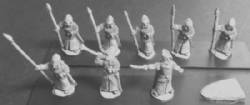 Elf Spearmen with Shields